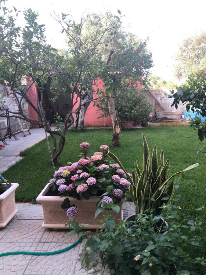 Paese Museo Apartment San Sperate Exterior photo